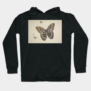 A Large Brown Butterfly, Two Small Ones and an Insect by Herman Henstenburgh Hoodie